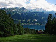 Scenic view of Beatenberg with a village, green fields and mountains in Switzerland