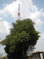 ABS-CBN Broadcasting Center and Eugenio Lopez Jr Communications Center at South Triangle Quezon City with Millennium Transmitter tower