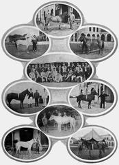R E Toeg with his best known racing ponies
