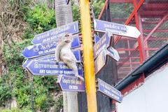 Batu Caves