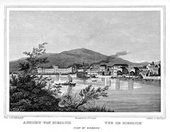 View of Biebrich with Schloss, quay wall, and ships from the south of the former Rheininsel Biebricher Wörth