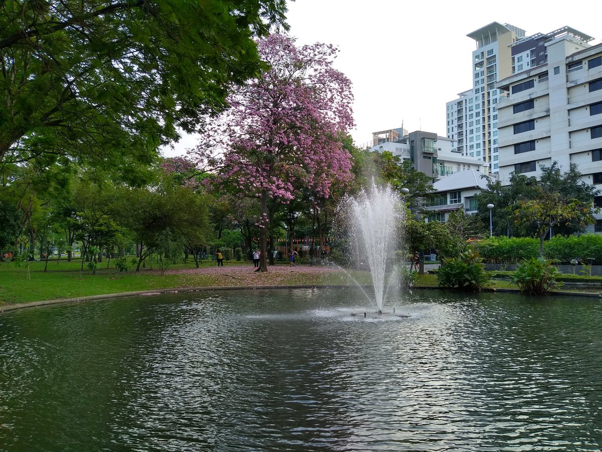Scenic view of Santiphap Park with greenery and walking path in Bangkok Thailand