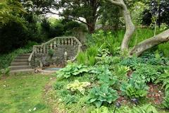 Scenic view of Morris Arboretum with lush greenery and pathway in Chestnut Hill Philadelphia