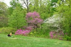 Beautiful floral arrangement in Morris Arboretum with vibrant blooming flowers