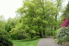 Morris Arboretum entrance with lush green trees and clear blue sky in Chestnut Hill, Philadelphia