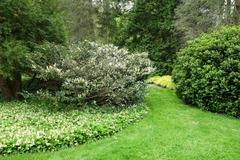 Scenic view of Morris Arboretum with lush greenery and walking paths in Chestnut Hill, Philadelphia