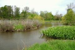 Scenic view of Morris Arboretum with lush greenery and pathways in Chestnut Hill Philadelphia