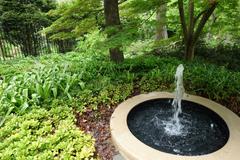 Morris Arboretum scenic view with lush greenery and winding pathways in Philadelphia