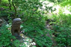 Beautiful walking path through lush green trees at Morris Arboretum in Philadelphia