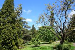 Morris Arboretum entrance with lush greenery and pathway in Philadelphia