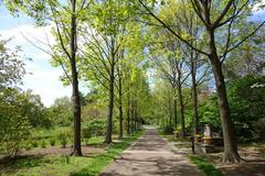 Morris Arboretum scenic view with lush greenery and trees in Chestnut Hill Philadelphia