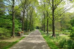 Morris Arboretum scenic view with lush greenery and historic buildings