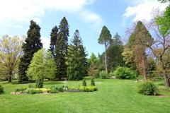 Scenic view of Morris Arboretum with lush greenery and clear blue sky in Chestnut Hill Philadelphia