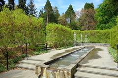 Scenic view of a tree-lined pathway at Morris Arboretum in Philadelphia with lush greenery and clear skies