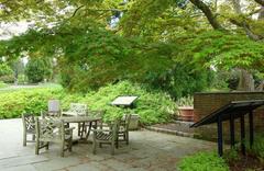 Scenic view of Morris Arboretum with diverse trees and a pathway in Chestnut Hill, Philadelphia