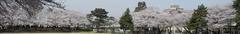 Musashino University