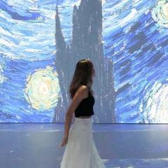 Woman viewing artwork in Van Gogh Museum