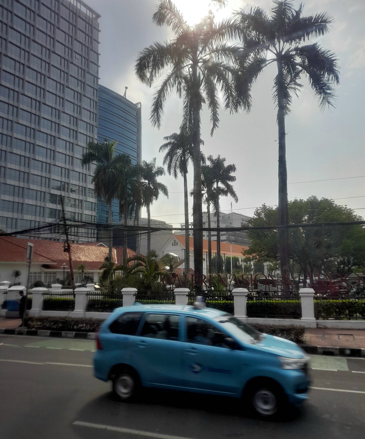 Blue bird perched on a plant in Jl. Cikini, Kec. Menteng, Jakarta Pusat