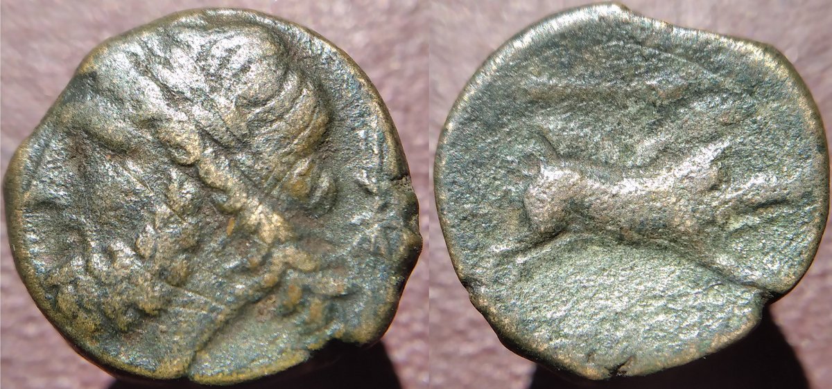 Ancient bronze coin from Arpi, Apulia featuring Zeus and a boar with a spear