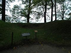 Panoramic view of Festung Königstein fortress surrounded by rocky cliffs and green landscape