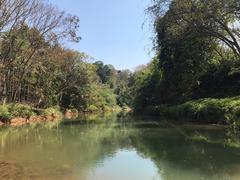 View of Neyyar River flowing through natural landscape
