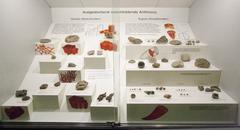 Display case with geological and paleontological specimens at Senckenberg Museum