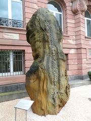 Sandstone rock with desert rose crystals exhibited outside Naturmuseum Senckenberg in Frankfurt