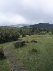 Hiker walking on lush green trail in Yangmingshan National Park with misty mountains in background
