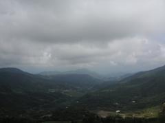 Hiker walking on a lush green trail in Yangmingshan National Park