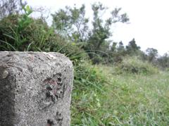 Hiking trail in Yangmingshan National Park with stone steps and forest scenery