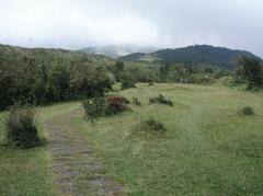 Hiker trekking on a trail in the lush green mountains of Yangmingshan National Park