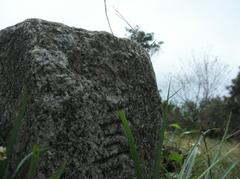 Yangmingshan National Park