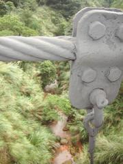 Suspension bridge in Yangmingshan National Park over lush green forest