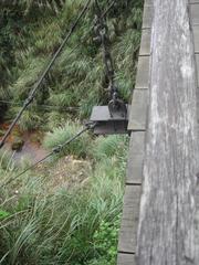 Suspension bridge at Yangmingshan in Taiwan surrounded by lush green forest