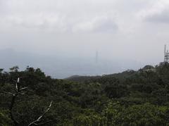 Scenic hiking trail in Yangmingshan with green vegetation and hills