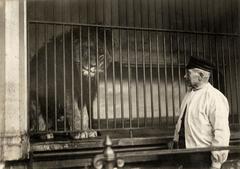 Man standing next to lion cage with a lion inside at Artis Zoo Amsterdam, 1917