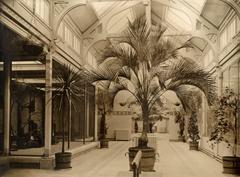 Birdhouse interior decorated with palm trees and potted plants in Artis Amsterdam 1913
