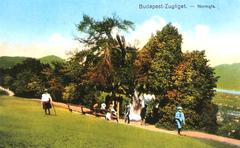 Historic view of Budapest XII. district Zugliget Normafa in 1912