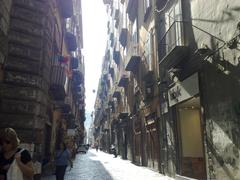 View of Spaccanapoli street leading towards Castel Sant'Elmo in Naples, Italy