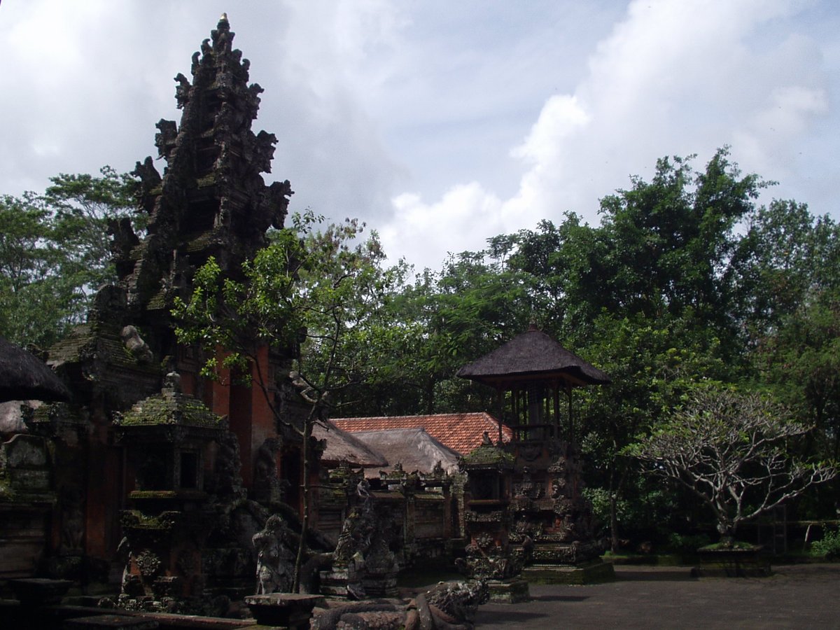 Ancient Temple of the Dead in Monkey Forest with lush greenery