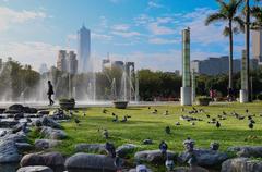 Pigeons in Kaohsiung Central Park Taiwan