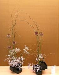 Free-style flower arrangement of Sōgetsu-ryū school with curly willow, baby's breath, and allium