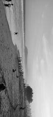 Rk Beach scenic view with sandy shore and calm water