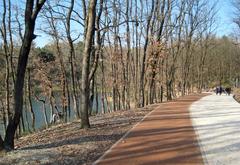 Early spring day in Tirana's Great Park with blossoming trees and green grass