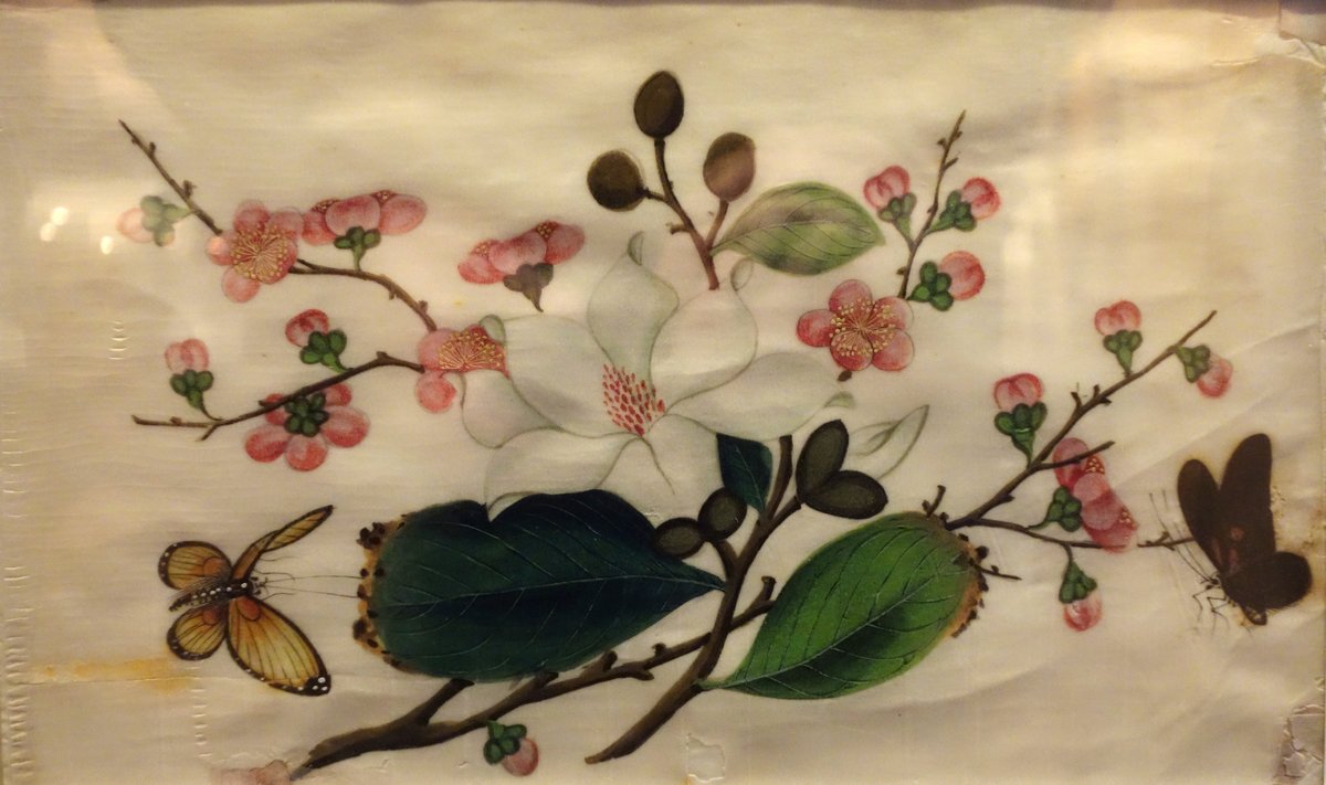 Flowers image on Tetrapanax papyrifer paper displayed at Robert C. Williams Paper Museum