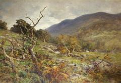 A scenic rocky mountain pass in North Wales with rugged cliffs and a winding path