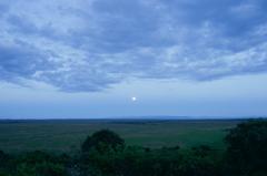 Full moon rising over savannah in Nairobi National Park Kenya