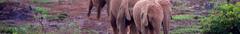 Nairobi National Park
