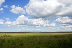 Savannah landscape in Nairobi National Park with scattered trees and grassland