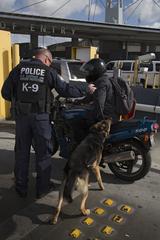 U.S. Customs and Border Protection officer with canine conducting vehicle inspections at San Ysidro border port of entry